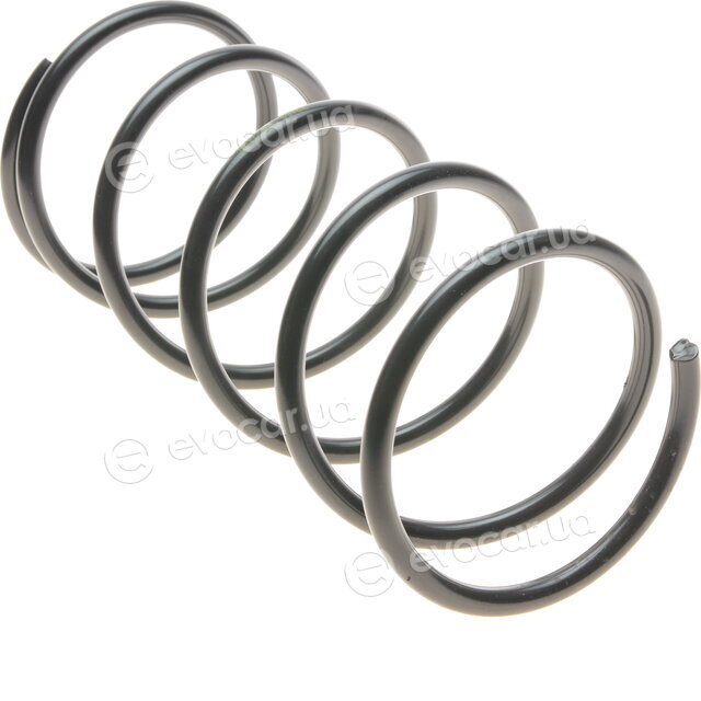 Lesjofors 4262021
