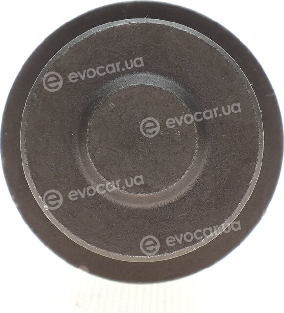 Kapimsan 31-23001