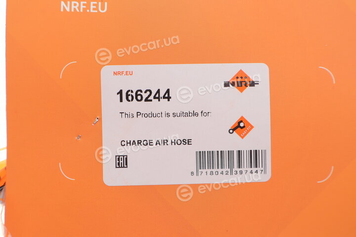 NRF 166244