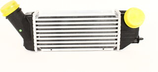 Kale 352490