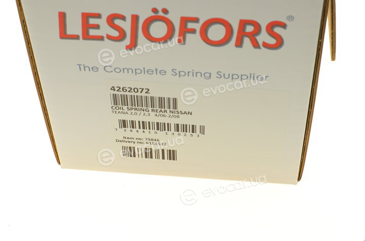 Lesjofors 4262072