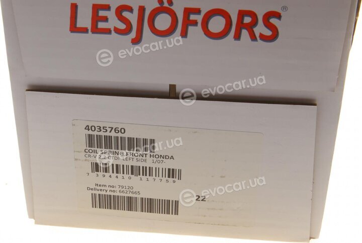 Lesjofors 4035760