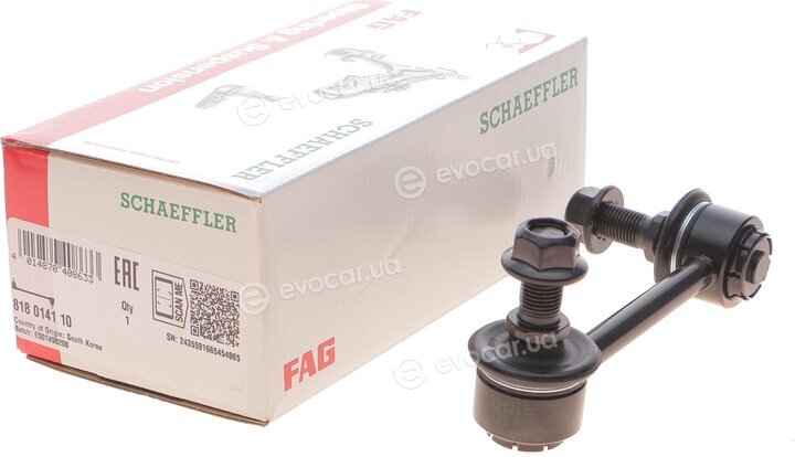 FAG 818 0141 10