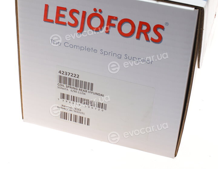Lesjofors 4237222