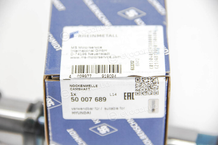 Kolbenschmidt 50007689