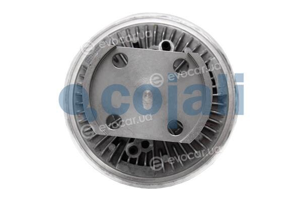 Cojali 7043156