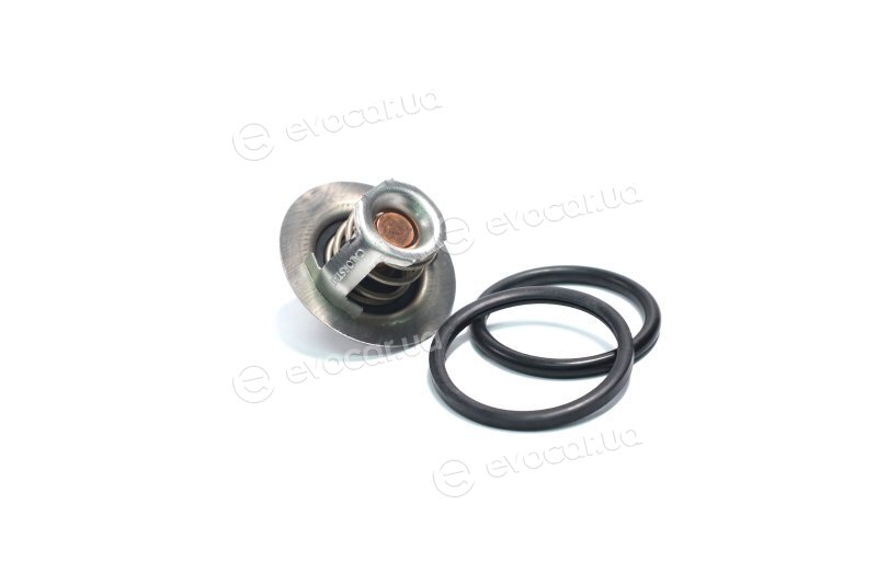 Vernet / Calorstat TH6045.89J