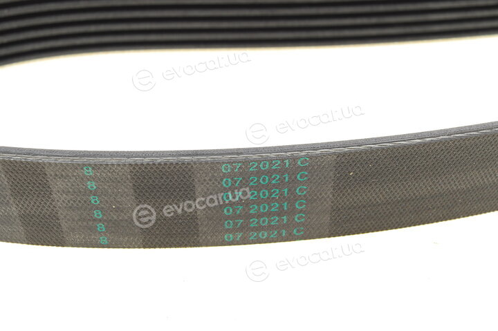 Continental 6PK2155