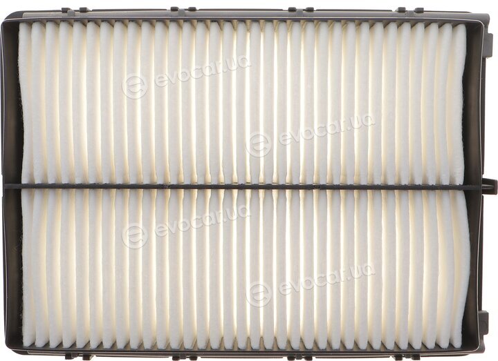 Solgy 103189