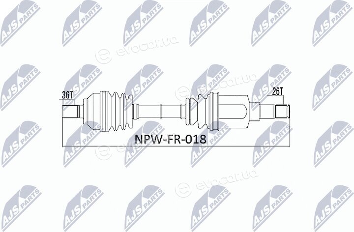 NTY NPW-FR-018