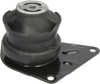 Reinhoch RH11-0077