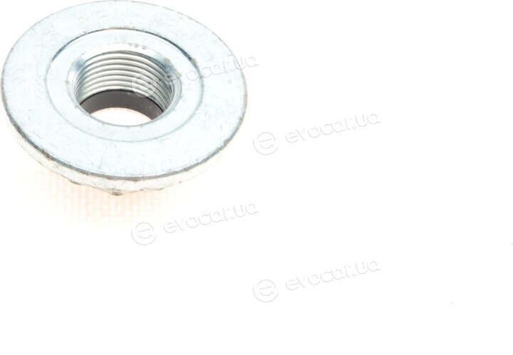 Borsehung B15959