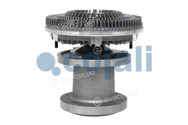 Cojali 7033801