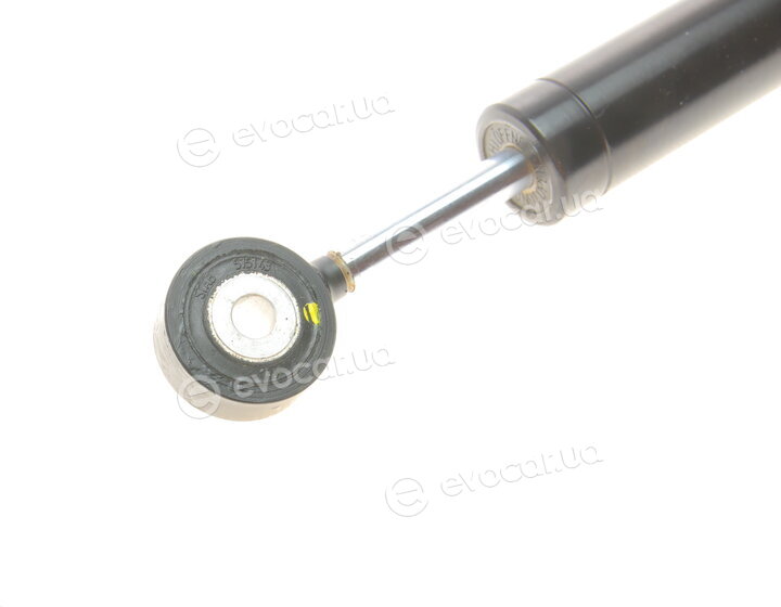 Stabilus 8269CW