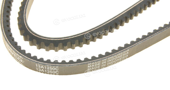 Dayco 13A1250C