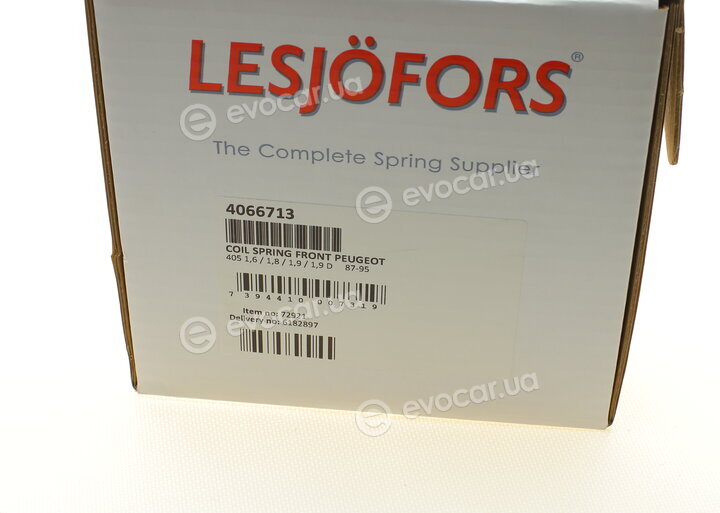 Lesjofors 4066713