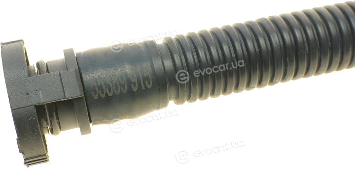 AIC 55389