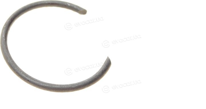 Metelli 13-0416