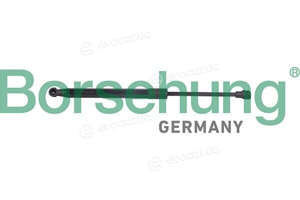 Borsehung B13095