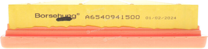 Borsehung B12395