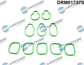 Dr. Motor DRM01737S