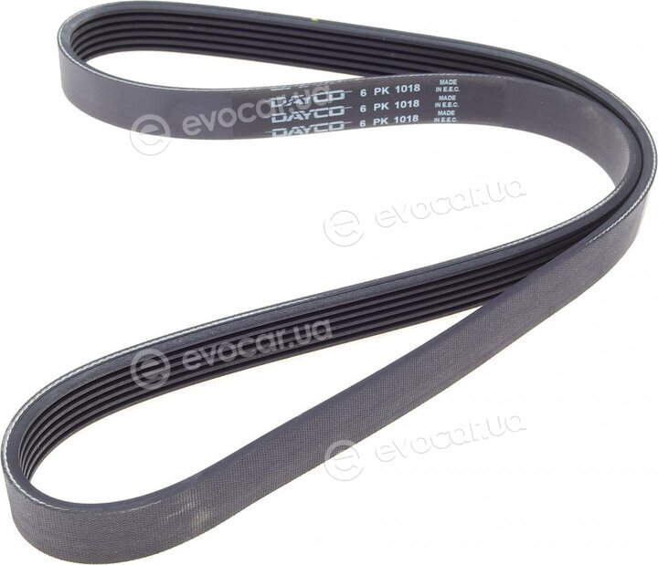 Dayco 6PK1018