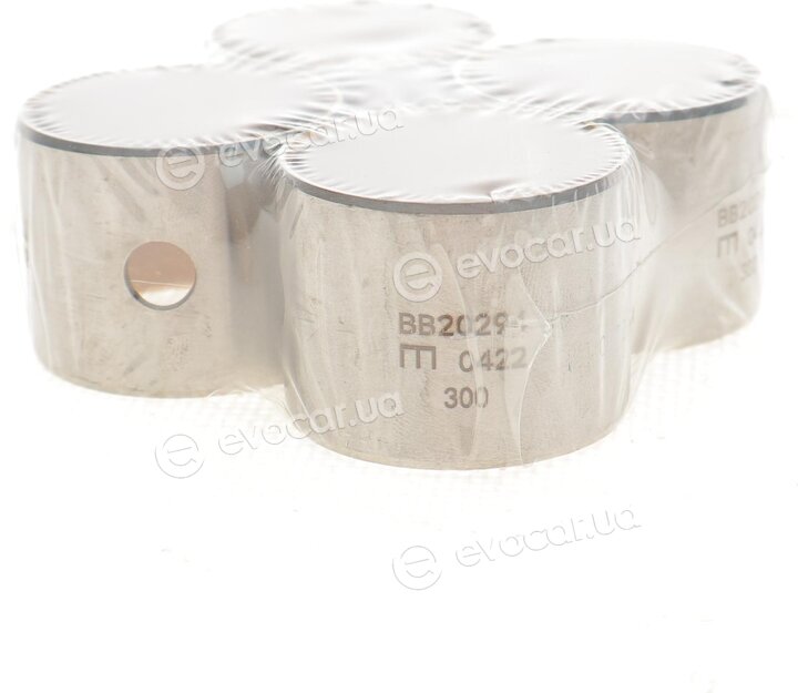Mahle 021 BS 20295 300