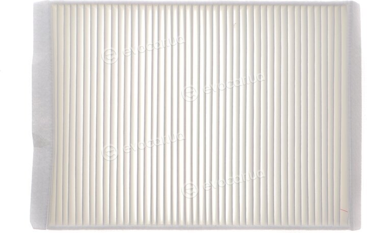 Solgy 104088