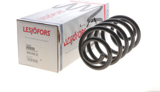 Lesjofors 4256858