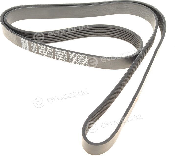 Dayco 7PK1687S
