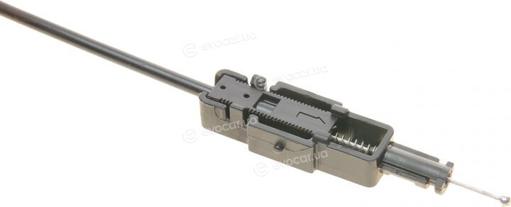Solgy 306120