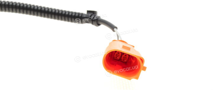 Solgy 115053