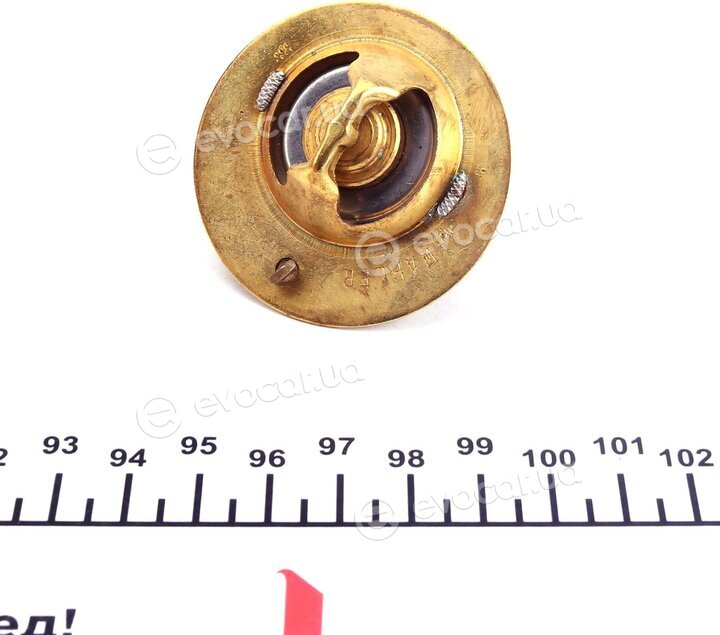 Wahler / BorgWarner 3119.82D3