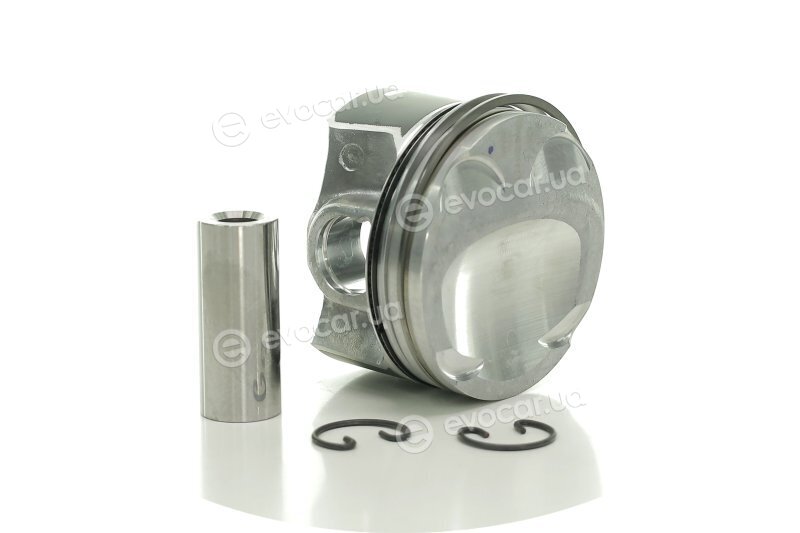 Mahle 021 PI 00127 000