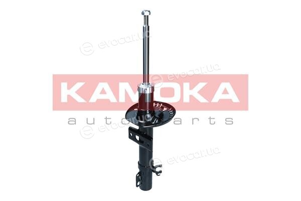 Kamoka 2001182