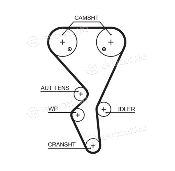 Gates K015581XS