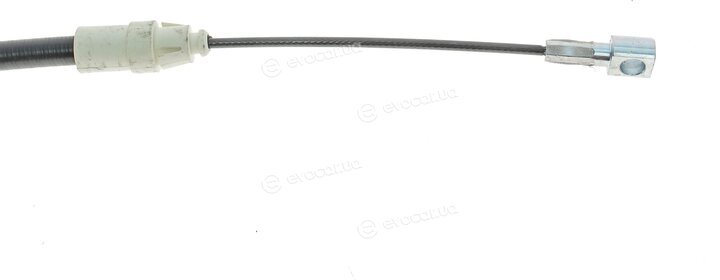 Solgy 219040