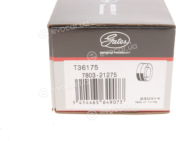 Gates T36175