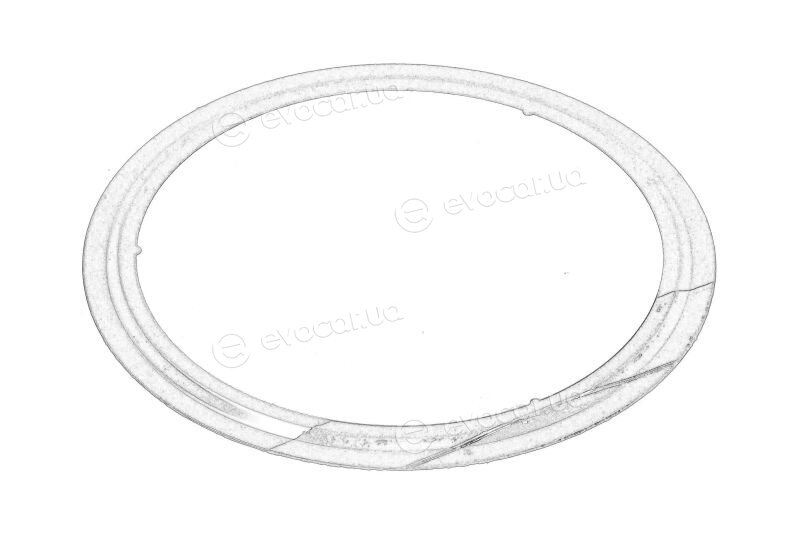Mopar (PSA / FCA) 55213924