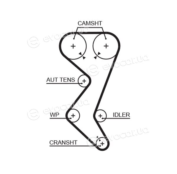 Gates K015528XS