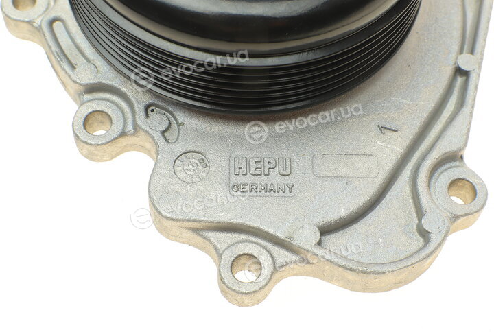 Hepu P1513