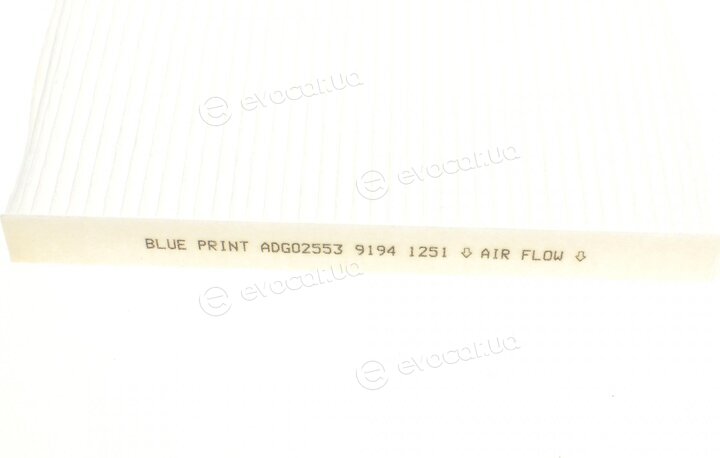 Blue Print ADG02553