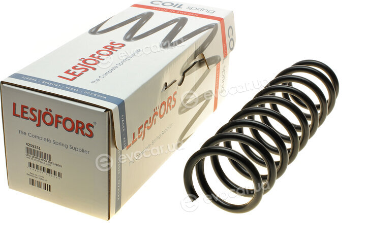 Lesjofors 4259251