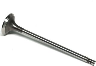 Gunes 3997