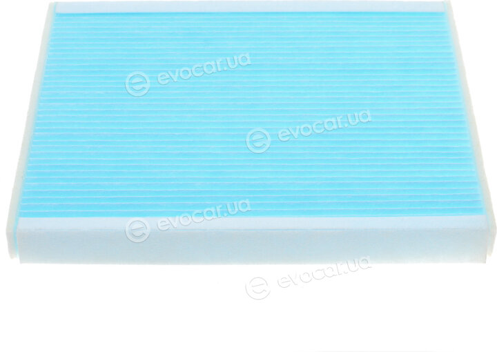 Blue Print ADG02557