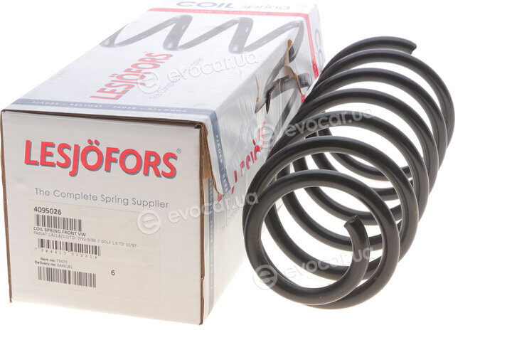 Lesjofors 4095026