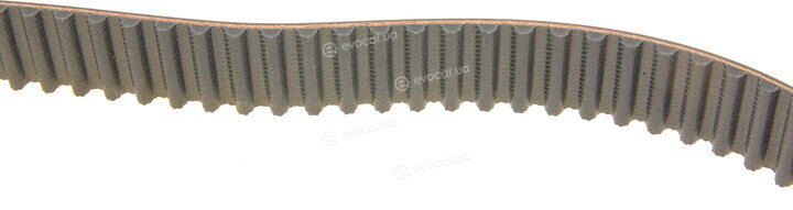 Gates K025535XS
