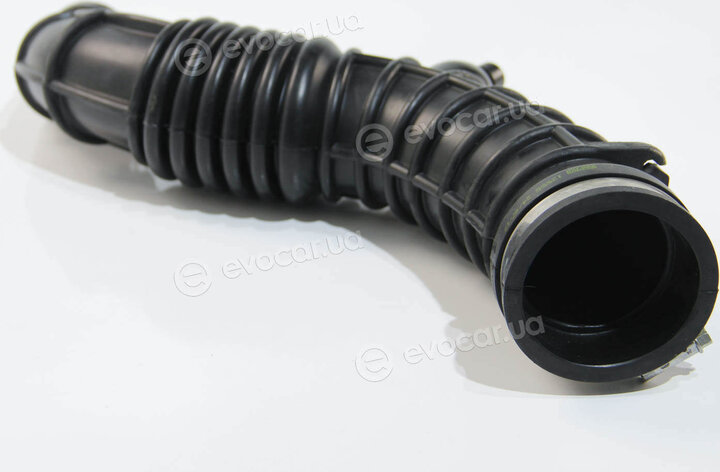 Rapro R12555