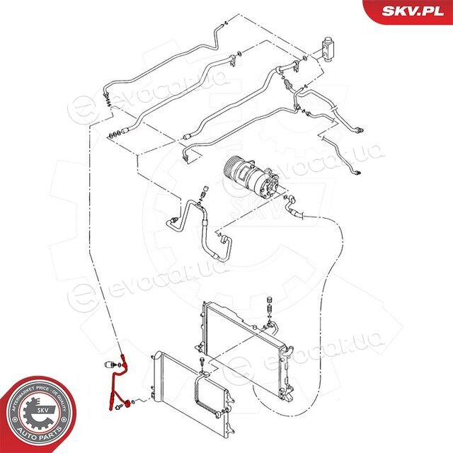 SKV 43SKV501