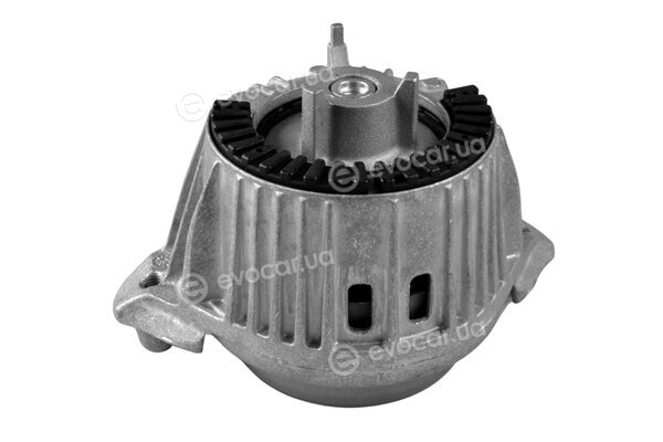 Tedgum TED53841